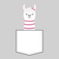 Llama alpaca face head in the pocket. Pink bow. Cute cartoon animals. Dash line. Kawaii character. White and black color. T-shirt