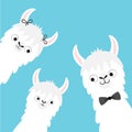 Llama alpaca family head face set. Mother, father, baby. Cute cartoon funny kawaii character. Childish baby collection. T-shirt,