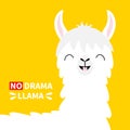 Llama alpaca head face. No drama. Tooth smile. Cute cartoon funny kawaii character. Childish baby collection. T-shirt, greeting
