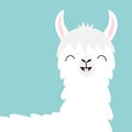 Llama alpaca head face. Tooth smile. Cute cartoon funny kawaii character. Childish baby collection. Fluffy hair fur. T-shirt,