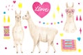 Llama or alpaca in love in a heart-shaped glasses and pink hearts. Valentine`s Day set. Royalty Free Stock Photo