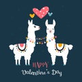Llama Alpaca. Pair of loving llamas Royalty Free Stock Photo