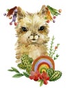 Llama alpaca set. cute cartoon lama