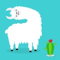 Llama alpaca turning head face. Cactus. Cute cartoon funny kawaii character. Fluffy hair fur. Childish baby collection. T-shirt, Royalty Free Stock Photo