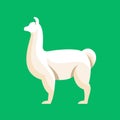 Llama animal flat style vector illustration. Alpaca icon.