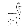 Llama in black, the silhouette is drawn with various lines in the style of minimalism. Alpaca tattoo, exotic animal logo