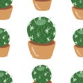 cacti cartoon mexico Peru desert vector. Color illustration