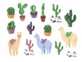 Llama cacti cartoon alpaca mexico Peru desert vector. Color illustration hand drawn print Royalty Free Stock Photo