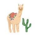 Lama cacti cartoon alpaca mexico Peru desert vector. Color illustration