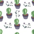 cacti cartoon mexico Peru desert vector. Color illustration hand drawn print textile