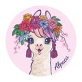 Llama cartoon alpaca. Llama animal vector isolated illustration. Design for card, sticker, fabric textile, t-shirt. Children,