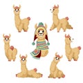 Llama. Cartoon alpaca, lama funny animal in various postures with chile or peru traditional clothes vector isolated