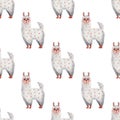 Llama - cute seamless pattern. Cartoon isolated animals on a white background. Funny print for kids textiles. Watercolor drawing Royalty Free Stock Photo