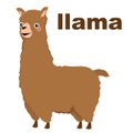 Llama