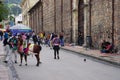 BOGOTA, COLOMBIA, JUNE 28, 2019: Black llama on a street in Bogota