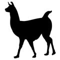 Llama silhouette in black