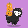 LLAMA HALLOWEEN BLACK 04