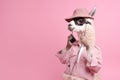 Llama hipster holding phone on pink background, Generative AI