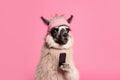 Llama hipster with phone on pink background, Generative AI