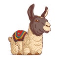 A Llama, isolated vector illustration. Funny cartoon picture of a calm alpaca lying. A drawn animal sticker