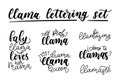 Llama lettering set. Set of hand drawn quotes about llama isolated on white background. Baby llama loves her mama. Be