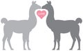 Llama Llove Royalty Free Stock Photo