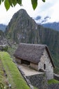 Llama - Machu Picchu in Peru - South America Royalty Free Stock Photo