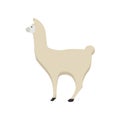 Llama nature mammal wildlife happy pet vector. Cute portrait brown zoo alpaca cartoon