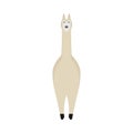 Llama nature mammal wildlife happy pet vector. Cute portrait brown zoo alpaca cartoon front view