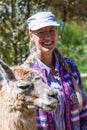 Llama in Peru