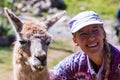 Llama in Peru