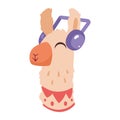 llama perubian with headphones