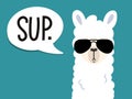 Llama poster with inscription Royalty Free Stock Photo