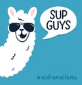 Llama poster with inscription `sup guys` Royalty Free Stock Photo