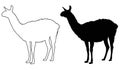 Llama silhouette - wildlife animal