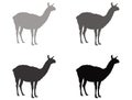 Llama silhouette - wildlife animal