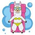 Llama with sunglasses and a swimsuit