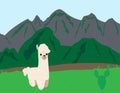 Llama vector animal nature mountains postcard poster