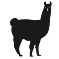 Llama vector eps Hand drawn, Vector, Eps, Logo, Icon, silhouette Illustration by crafteroks for different uses. Royalty Free Stock Photo