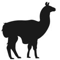 Llama vector eps Hand drawn, Vector, Eps, Logo, Icon, silhouette Illustration by crafteroks for different uses. Royalty Free Stock Photo