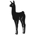 Llama vector eps Hand drawn, Vector, Eps, Logo, Icon, silhouette Illustration by crafteroks for different uses. Royalty Free Stock Photo