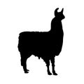 Llama vector silhouette Royalty Free Stock Photo