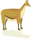 LLAMA