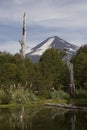Llama volcano in Conguillio park