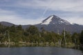 Llama volcano in Conguillio park