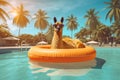 Llama with float and sunglasses