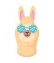 llama wearing sunglasses