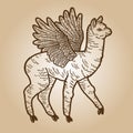 Llama with wings. Engraving sketch scratch board imitation. Sepia hand drawn image.