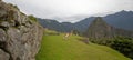 Llamas grazing at Machu Picchu in Peru South America Royalty Free Stock Photo