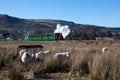 Llanberis steam train Royalty Free Stock Photo